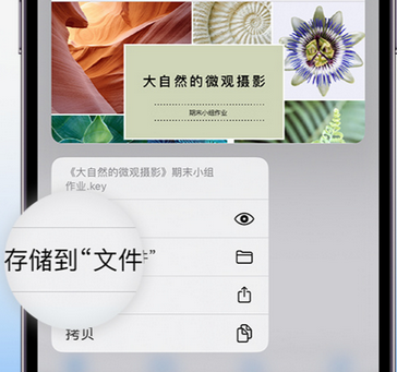 前郭apple维修中心分享iPhone文件应用中存储和找到下载文件