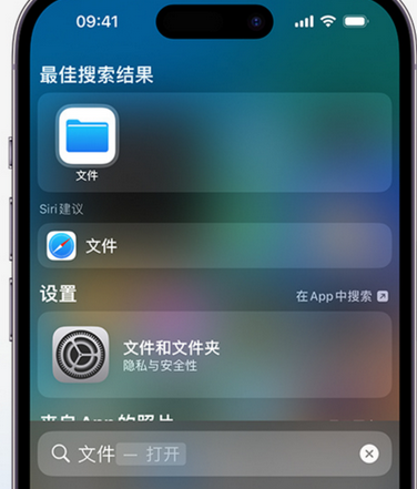 前郭apple维修中心分享iPhone文件应用中存储和找到下载文件 