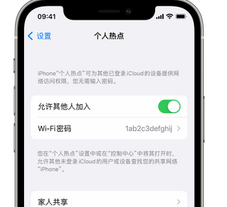 前郭apple服务站点分享iPhone上个人热点丢失了怎么办 