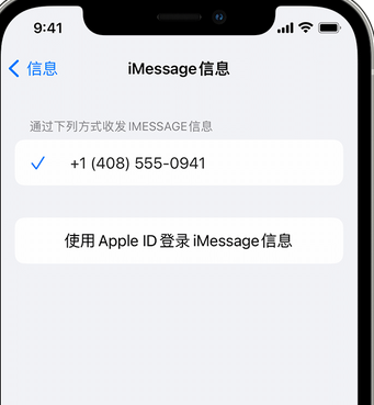 前郭apple维修iPhone上无法正常发送iMessage信息 