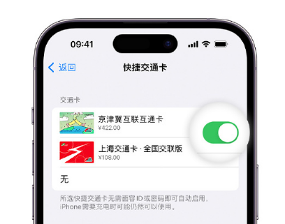 前郭apple维修点分享iPhone上更换Apple Pay快捷交通卡手绘卡面 