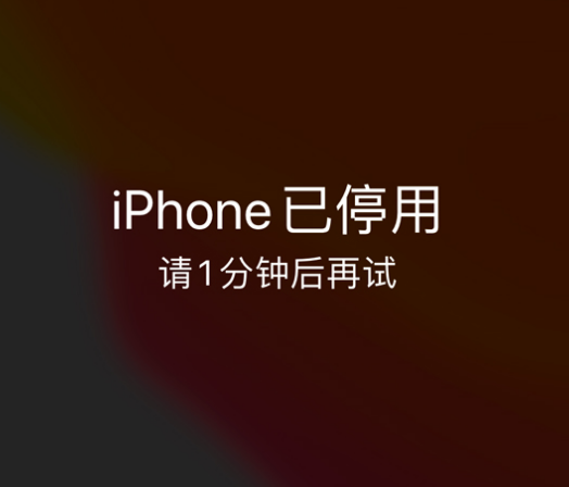 前郭苹果手机维修分享:iPhone 显示“不可用”或“已停用”怎么办？还能保留数据吗？ 