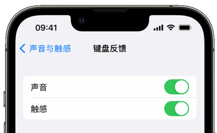 前郭苹果手机维修分享iPhone 14触感键盘使用方法 