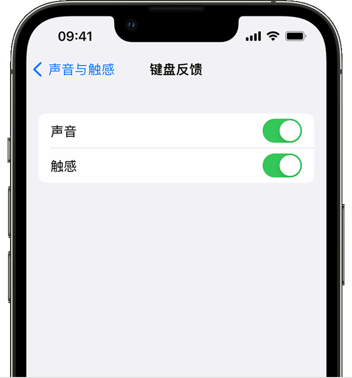 前郭苹果14维修店分享如何在 iPhone 14 机型中使用触感键盘 