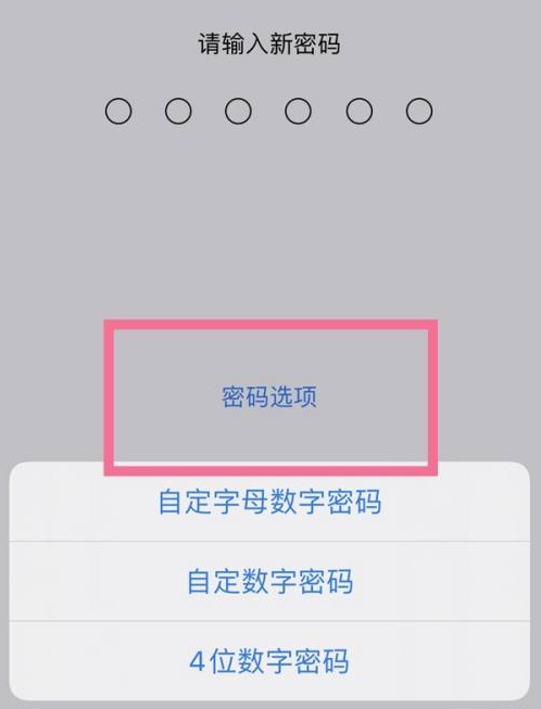 前郭苹果14维修分享iPhone 14plus设置密码的方法 