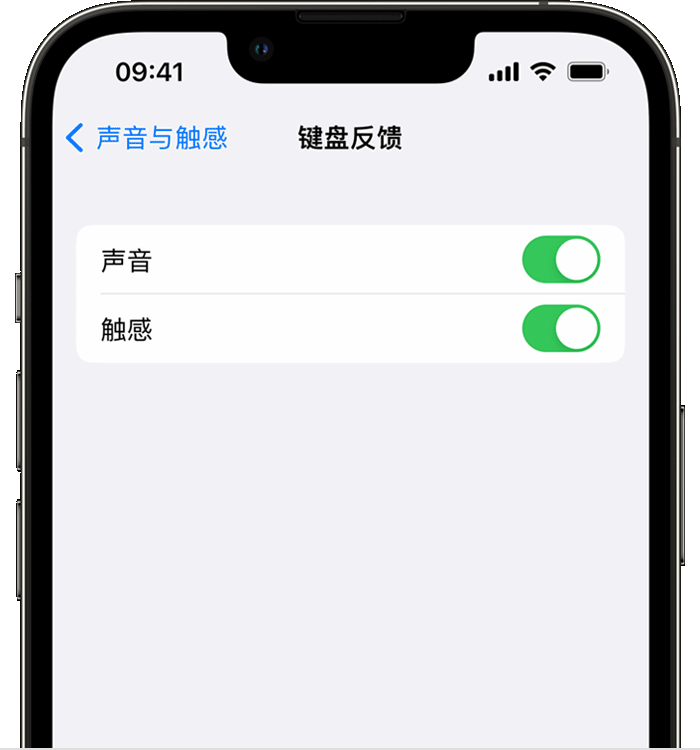 前郭苹果14维修分享iPhone 14 系列机型如何开启键盘声音或触感反馈 