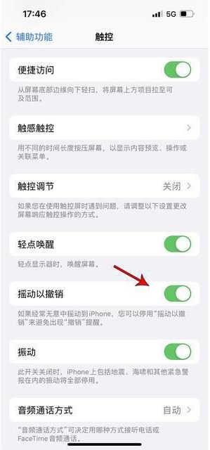 前郭苹果手机维修分享iPhone手机如何设置摇一摇删除文字 