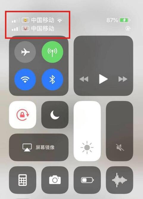 前郭苹果手机维修分享为 iPhone 12 双卡设置标签 
