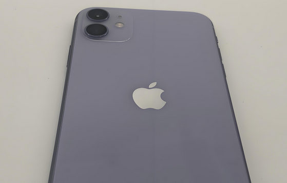 前郭苹果11系统维修分享iPhone11手机系统崩溃无法开机如何解决